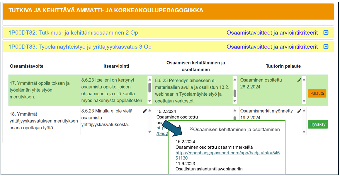 Ossin ikkuna suurennettu